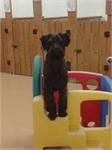 daycare pic 54 - kaiser